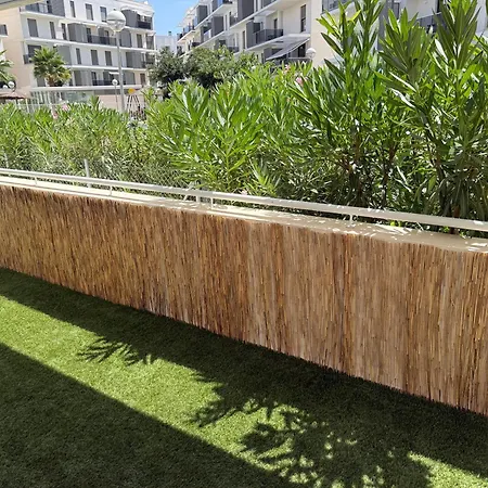 Apartment Casita Faro